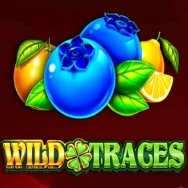 Play the Wild Traces slot by Amusnet Interactive on Sankra Casino